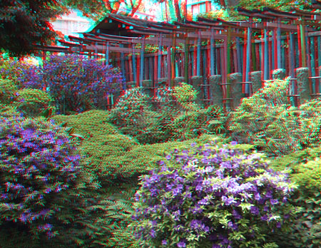 Nedu-Jinjya_Torii_2_20130509_cana_600